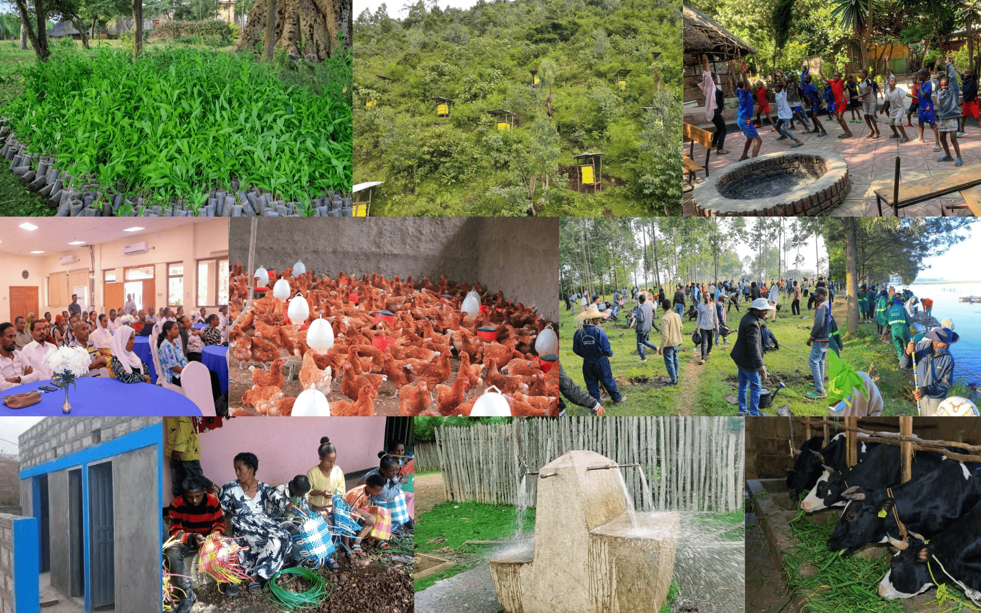 FENA Community Impact